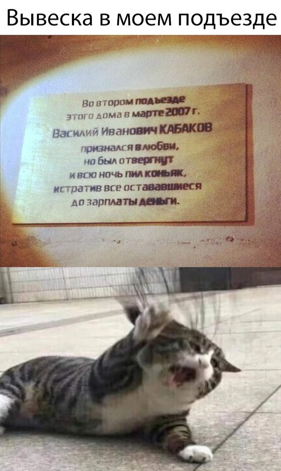 Нестандартный юмор