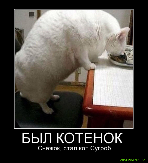 Госзаказы меняют не только людей