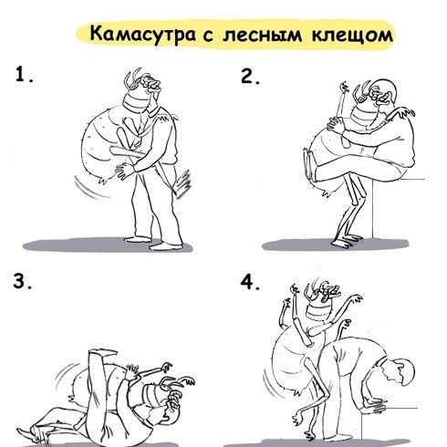 Если на вас напал медведь