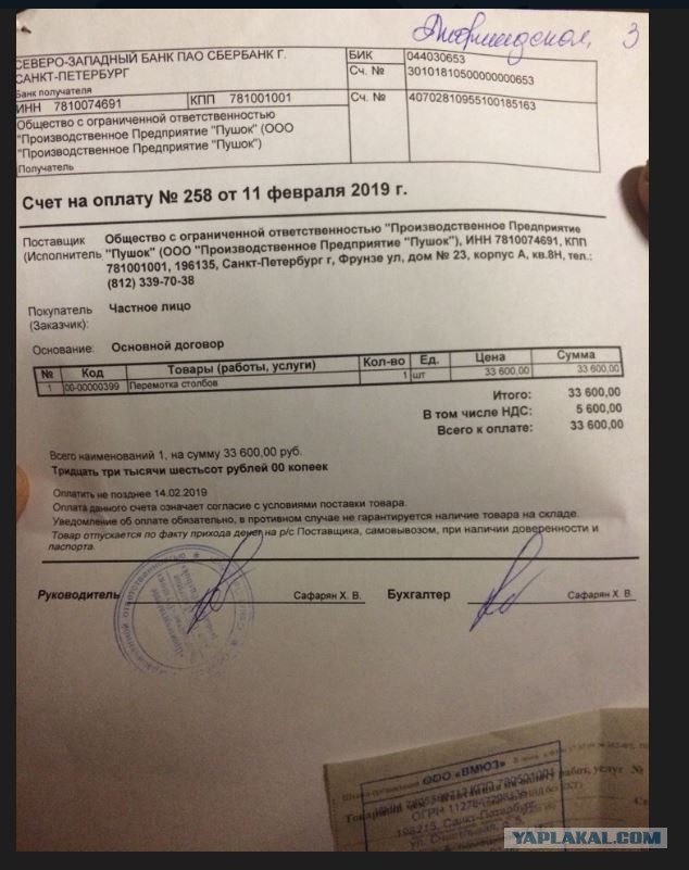 Помогите вернуть кота! Приют "Преданное сердце" украл кота и не отдает!-2