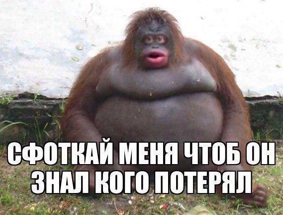 Чуток картинок. Ночные