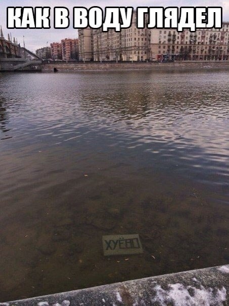 Карантинки