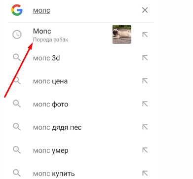 Как со смартфона смотреть животных в 3D из Google