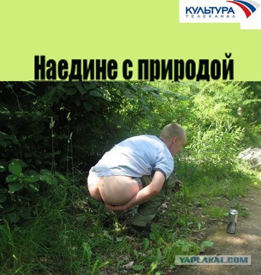 Фотожаба: ТВ программа