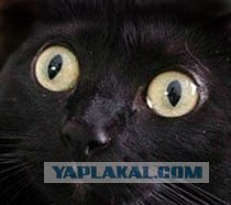 Фотожаба: Знаменитые картины