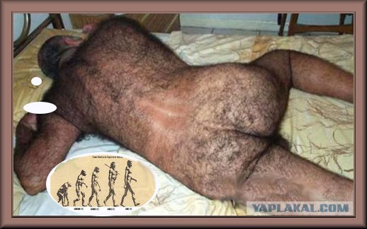 Фотожаба: Во сне и на яву!
