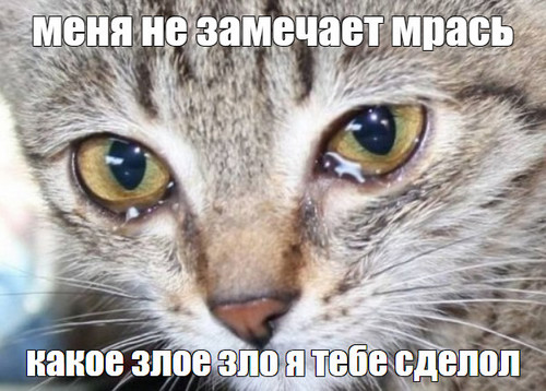 Что говорят мужчины о пышных женщинах