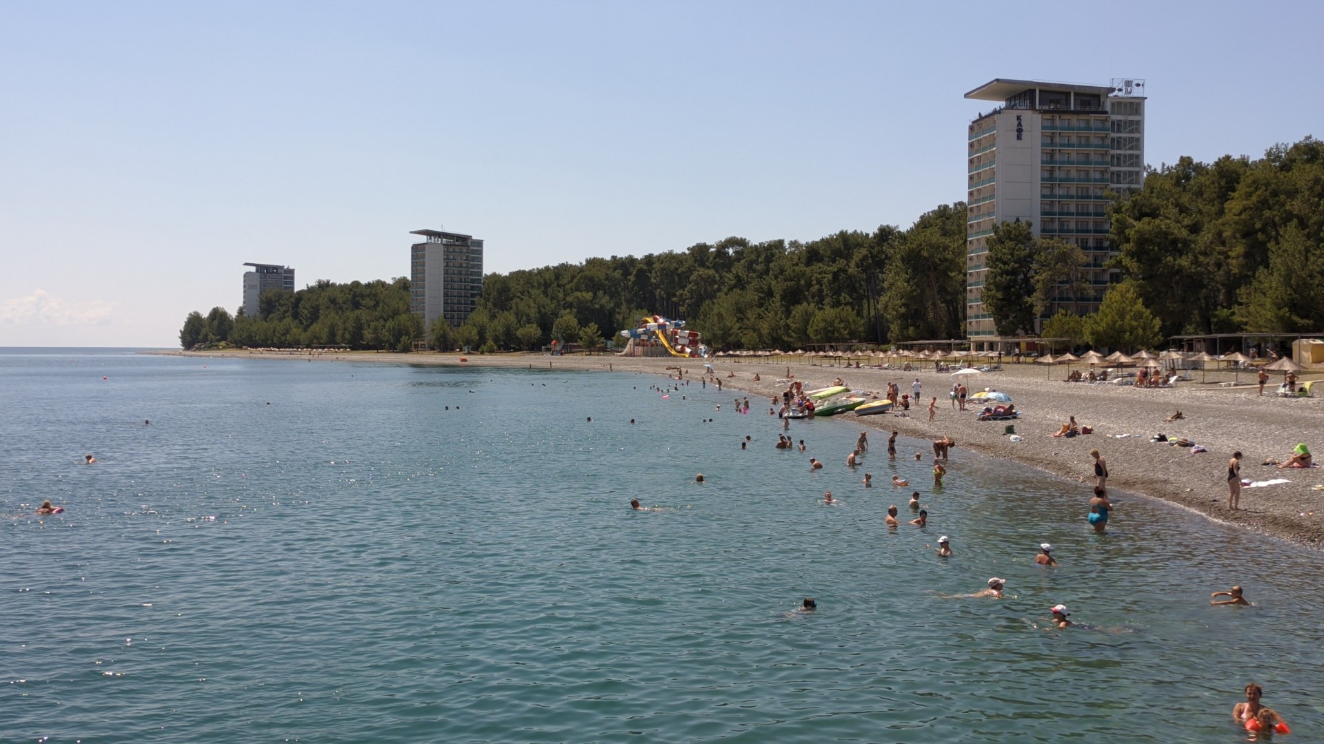 реликтовая сосновая роща в пицунде. абхазия пицунда сосновый пляж. пляж бичвинта пицунда.