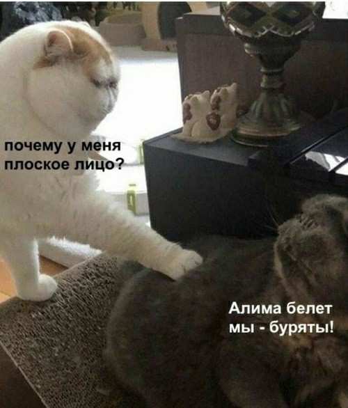 Не добавленные в комменты картинки