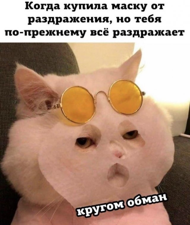 Картинки и мемы для настроения