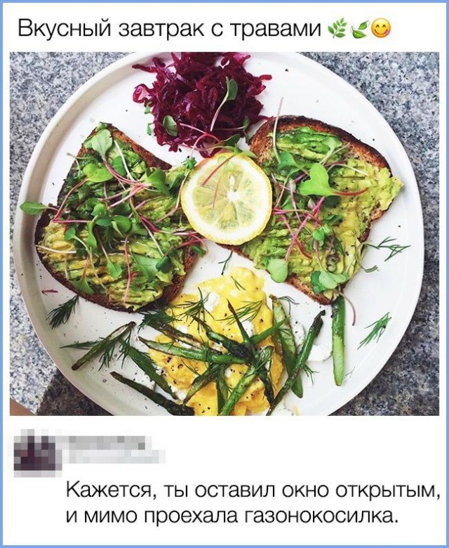 Не хочешь питаться помоями? Ну ты и мразь! Совсем зажрался...