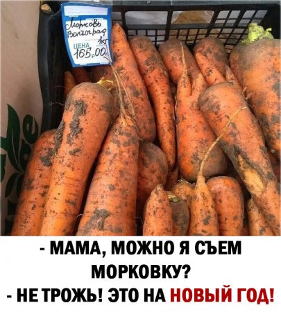 В России готовят закон о тотальном госрегулировании цен на продукты