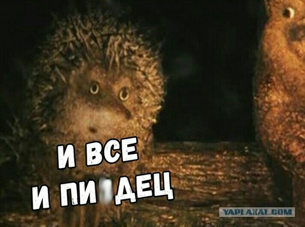 Охотники! ВНИМАНИЕ! Саркоцистоз!