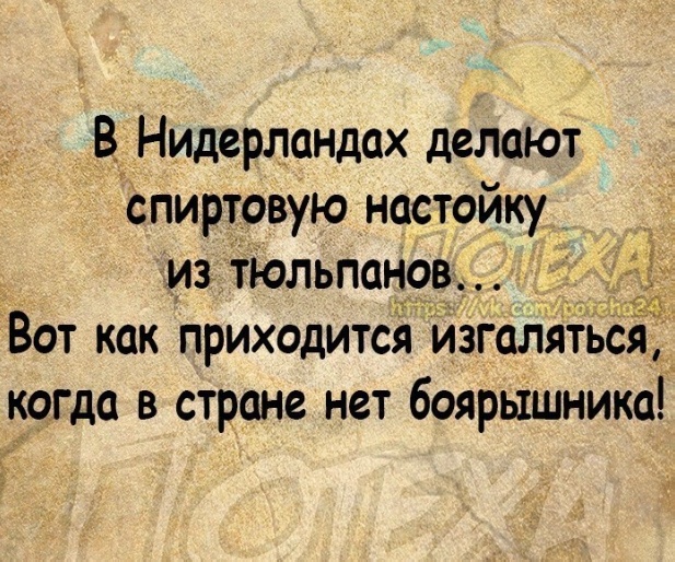 Так себе картинки 10.06.22