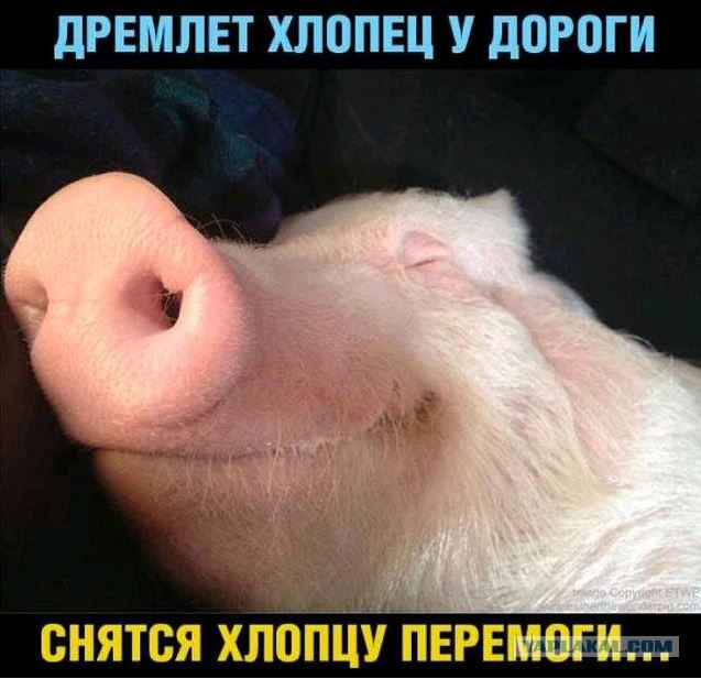 США планируют передать Украине ПРО средней и большой дальности