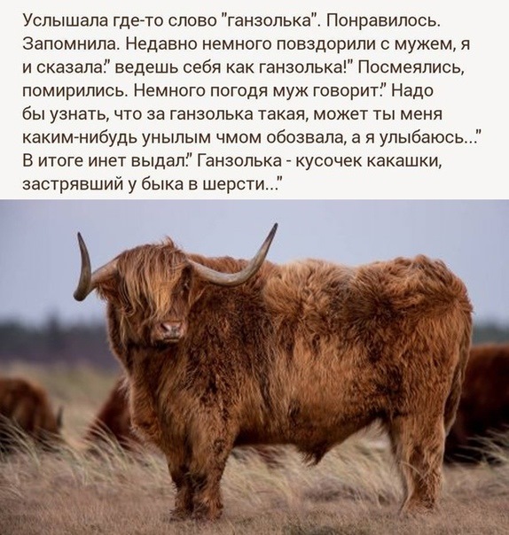 Ответ на вопрос.