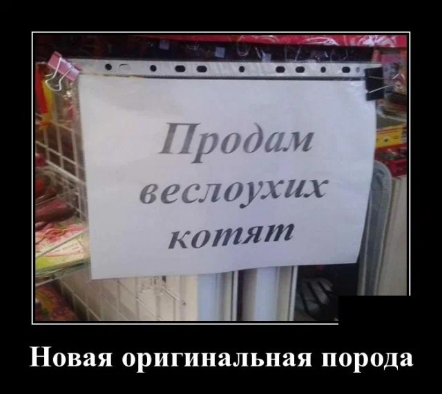 Картинки с надписями 9.08.22