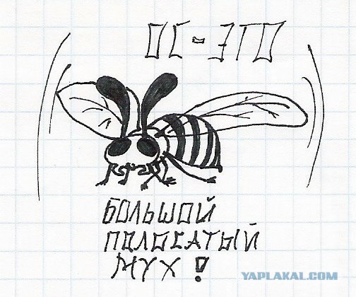 Рисунки на парах...