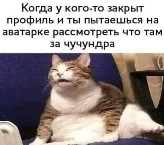 Картинки и мемы, всем хороших выходных