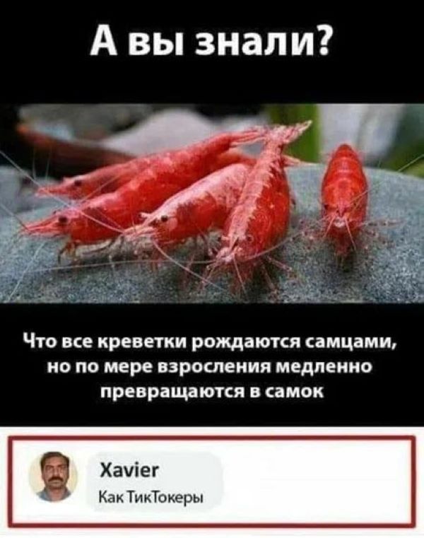 Картинки и мемы. Выходные близко...