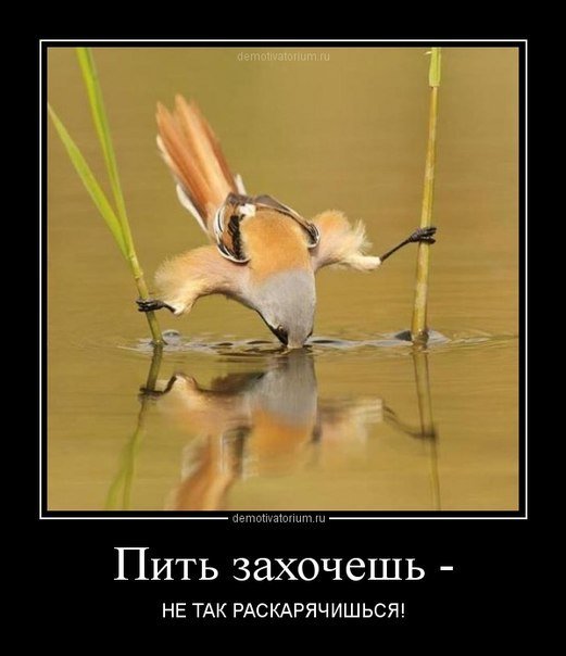 50 Пикчев из старых запасов