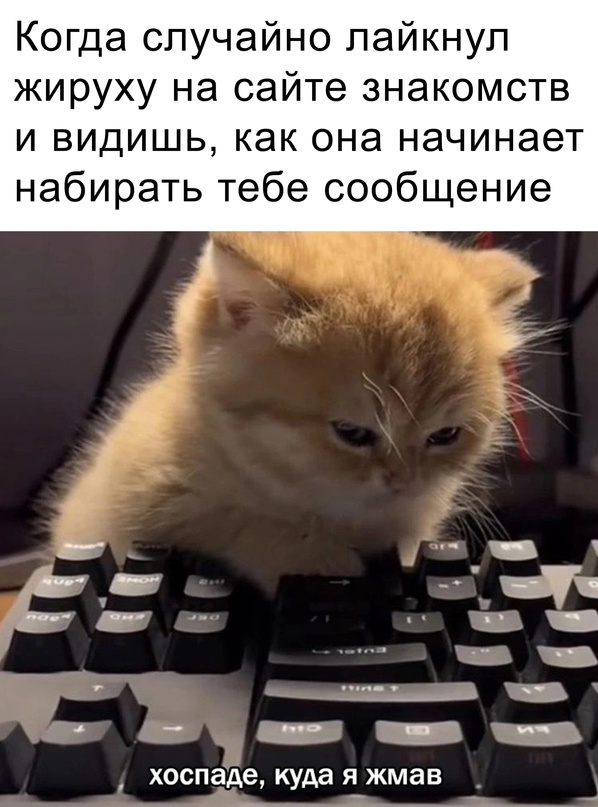 Картинки и мемы для настроения - 015