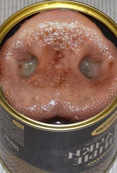 Король-то — голый!