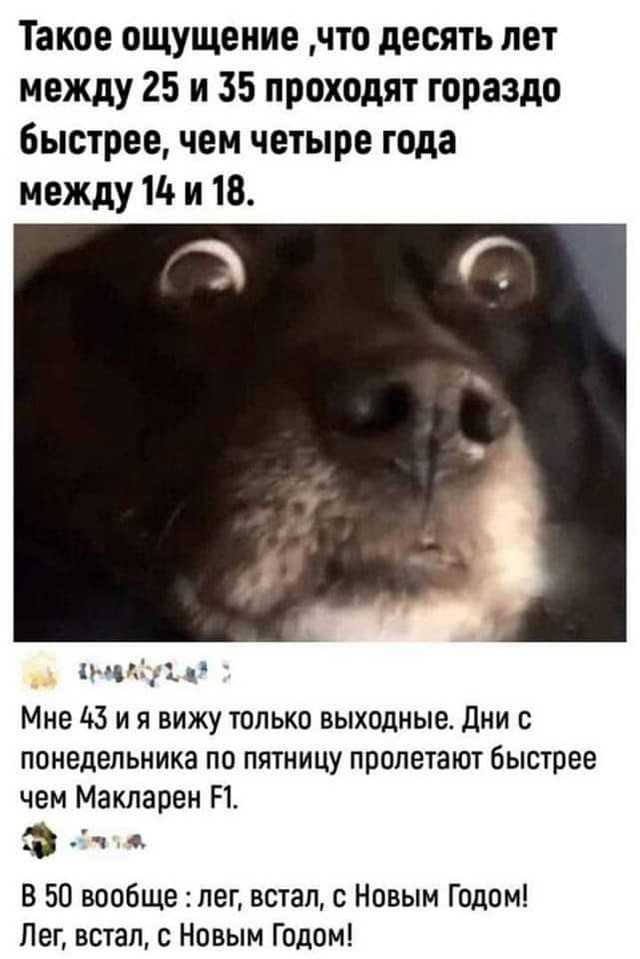 69 разных картинок для настроения (2)