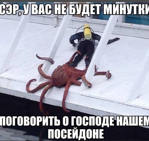 Восьминог (Octopoda Leach) в естественной среде обитания.