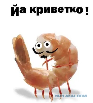 Покажи одним мемом, насколько ты олдовая скотина