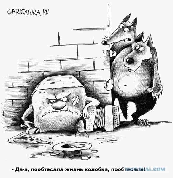 Лесные животные Аляски