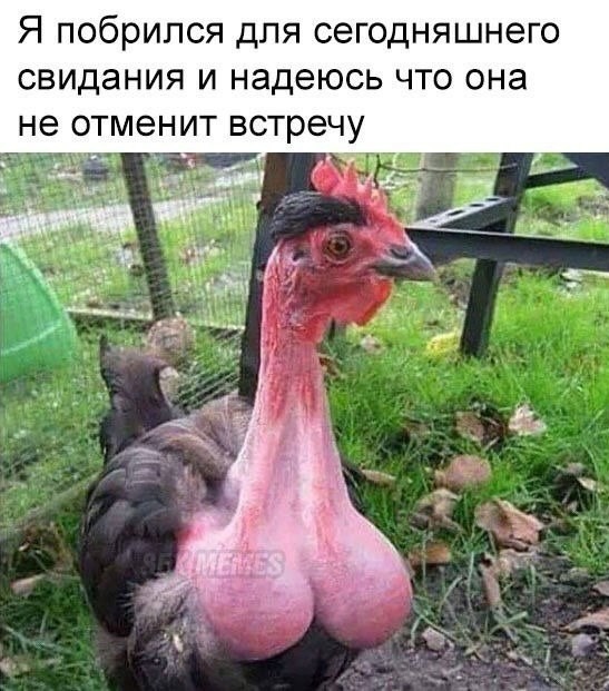 Всякая всячина 15.01.2024