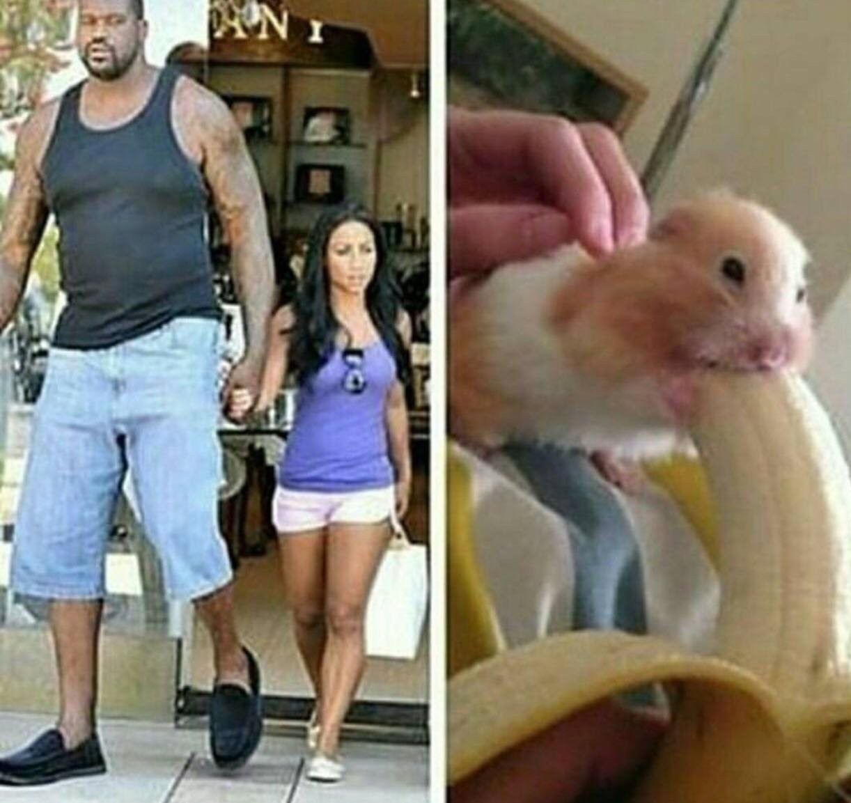 Париждегі ретро порно