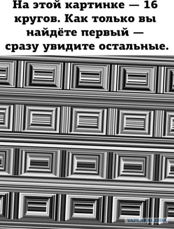 Как мужчины ищут вещи.