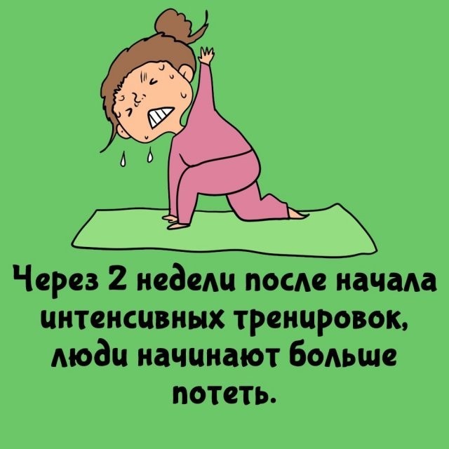 Подборка интересных фактов на все случаи жизни