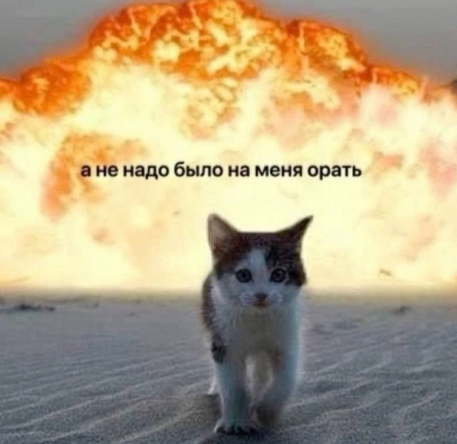 БаянЫ 4