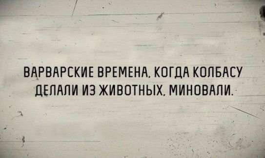 80 баянов из вацапов