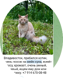Не дотерплю до вторника
