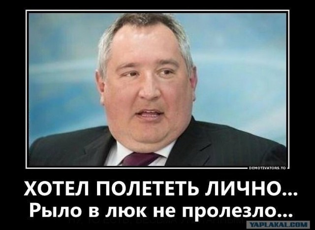Пельш ответил Рогозину