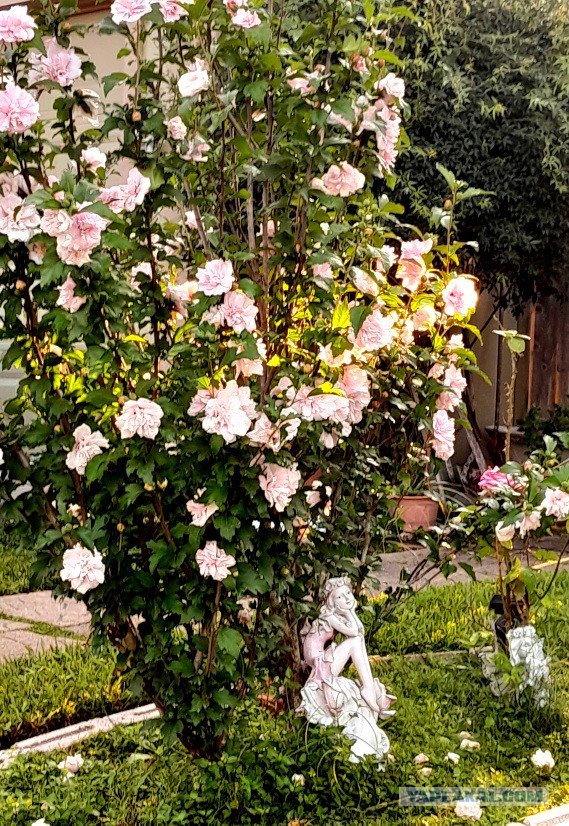 Техас готов к Хэллоуину