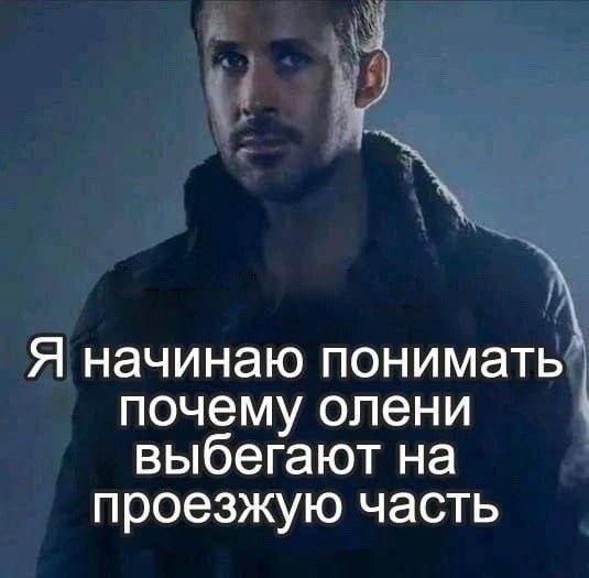 Воскресные картинки