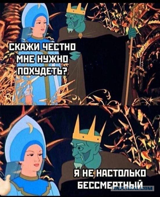 Картинки для деградации 278 (разной степени свежести)