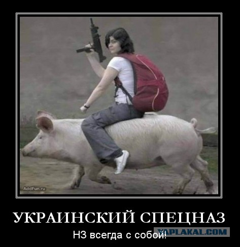 Майданутые на учениях