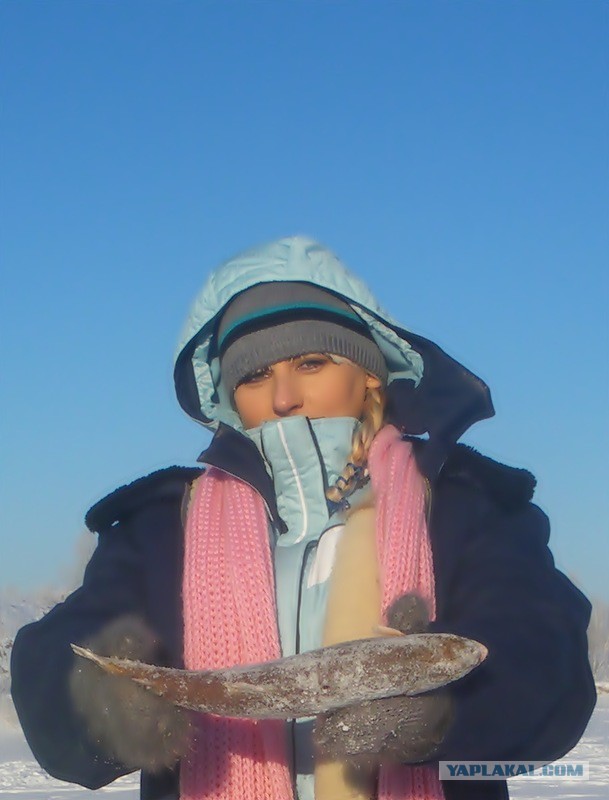 На рыбалку за семгой.