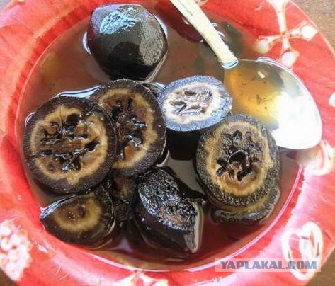 Пищевые привычки. Все из детства