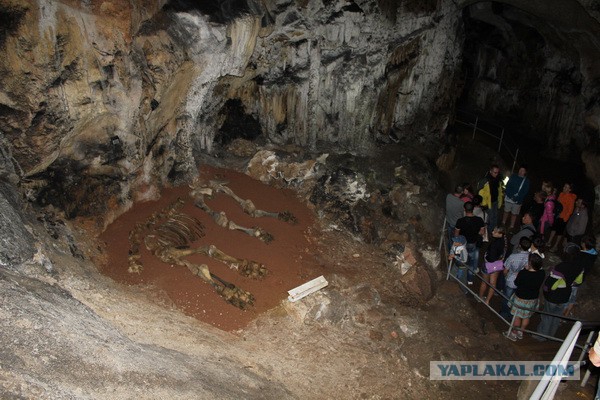 Дорога из Киева и из Москвы в Ялту.