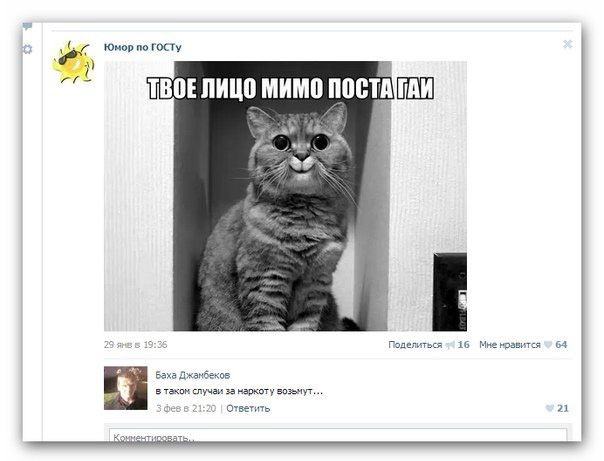 Смешные комментарии из социальных сетей #2