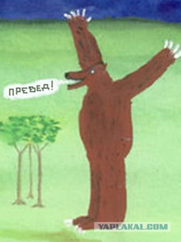 10 медведей