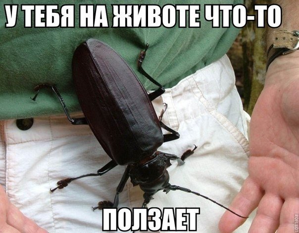 Подборка картинок