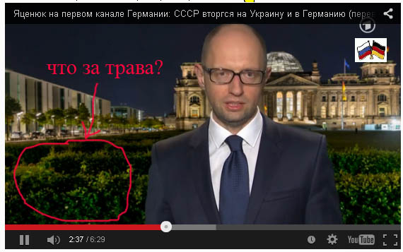 Яценюк приравнял Украину к фашистской Германии